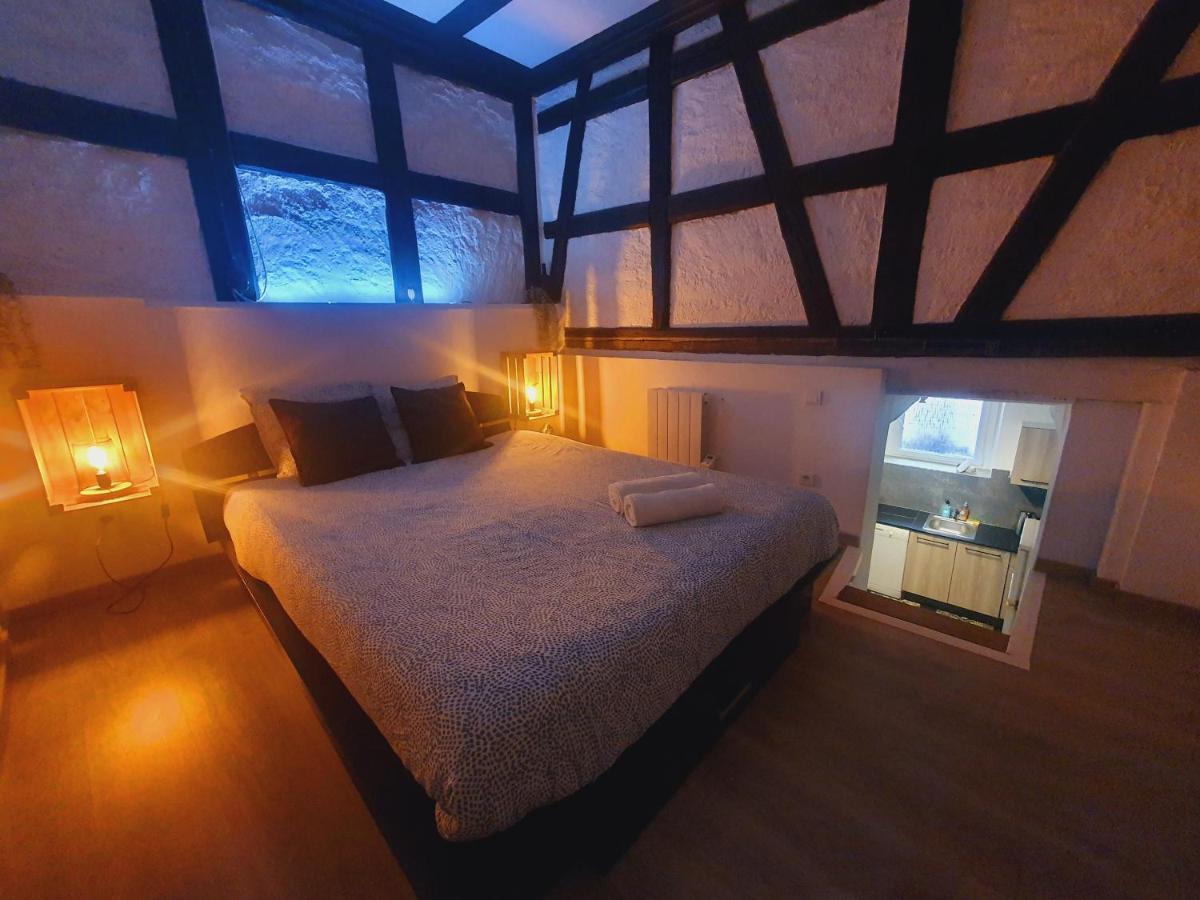 Ferienwohnung Aux Plaisirs D'Alsace Centre Historique Sélestat Exterior foto